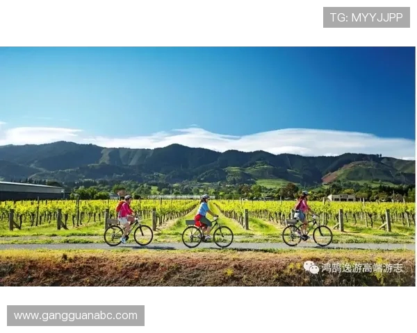 南京攀岩队灵活性引发热议运动员表现与训练方式的深度探讨