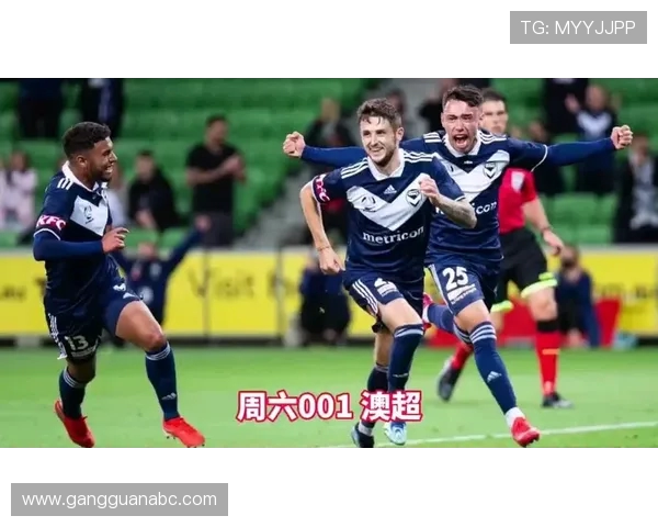 墨尔本胜利对阵西部悉尼精彩直播全程回顾与赛后分析