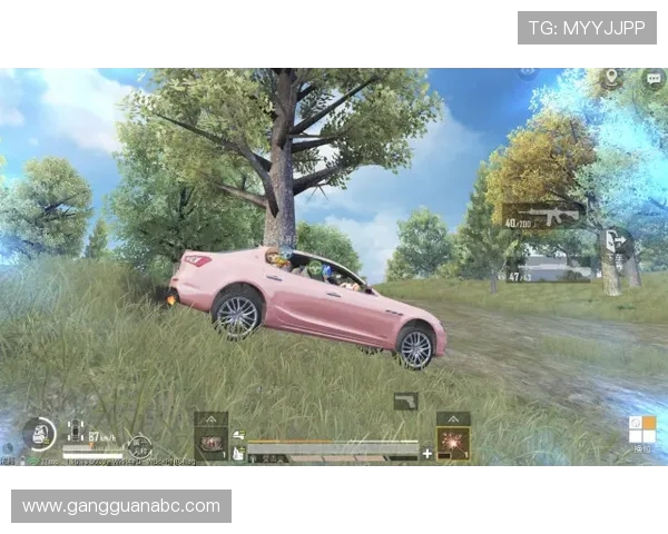 和平精英专题深入分析LNG战队当前竞技状态与未来发展潜力